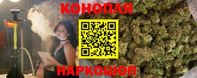 сатива Краснодар