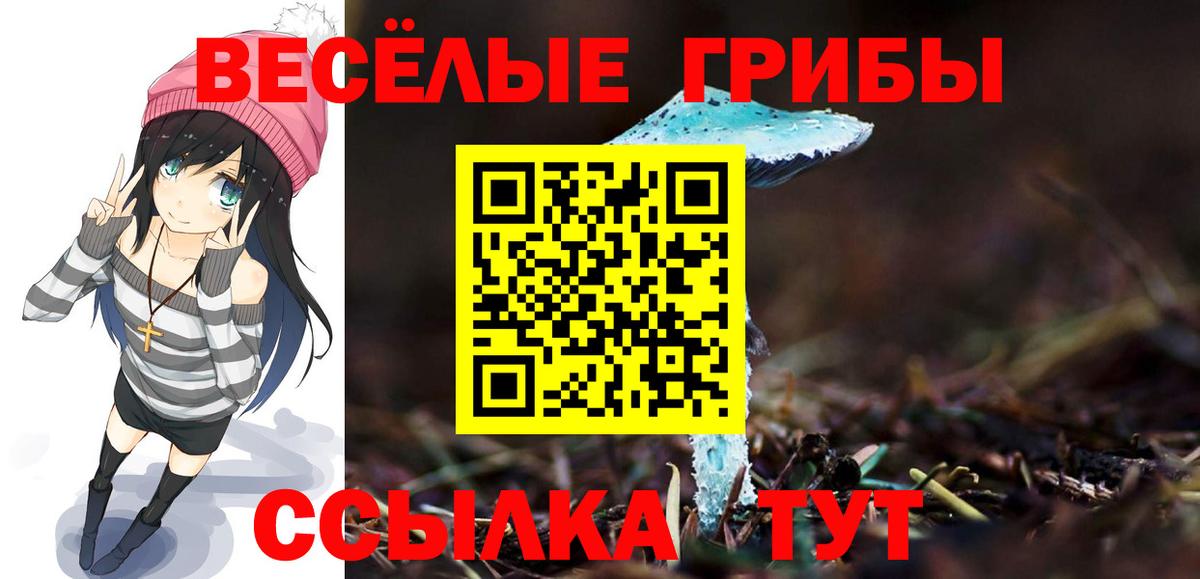 Галлюциногенные грибы Psilocybe  Вход с VPN  Уссурийск 